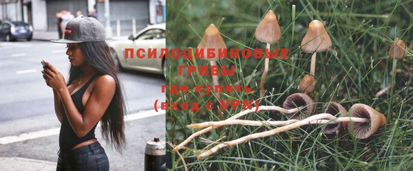 экстази Протвино