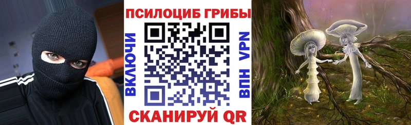 Галлюциногенные грибы мицелий  Сельцо 